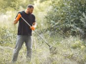 Чем вывести бурьян на даче, чтобы не рос