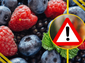 Небезпечні ягоди