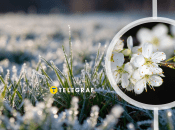 В Україні обіцяють мінусову температуру