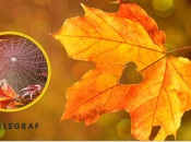 Погода в Украине