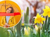 Начало апреля оказалось дождливым