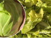 Салат з капусти, огірка та авокадо