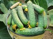 Нереально простий метод