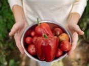 Саморобний розчин захистить перці