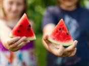 Три признака спелого арбуза