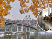 Погода в Україні