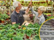 Пожилые люди могут заработать неплохие деньги