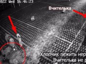 После избиения в школе третьеклассник получил сотрясение мозга и долго лечился. Скрин с видео.