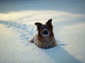 Украинцы еще застанут морозную и снежную погоду