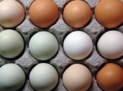 3 по-настоящему крутых научных эксперимента с яйцом для детей