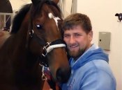 рамзан кадыров вместе с породистым конем Зазу