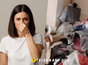 Свалка мусора в квартире