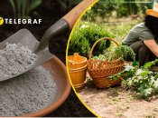 Попіл — доступне та натуральне добриво