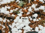 Град взимку – рідкісне явище