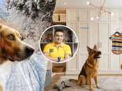 Павло Люлько, собаки