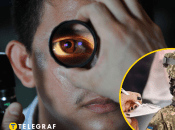 З якими хворобами очей не беруть служити