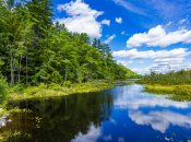 Яке сьогодні свято — Аграфена Купальниця