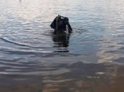 Иллюстративное изображение