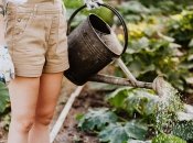 Лунный календарь огородника и садовода