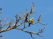 Прогноз погоды в Украине