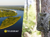 Этого грызуна обнаружили во время полевых работ