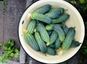 Рис содержит много витаминов и микроэлементов