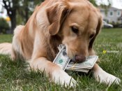 Деяким загрожує втрата роботи