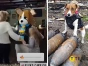 Пес Патрон на вибухівці та аніматор у його костюмі