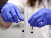 Метапневмовирус человека