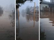 Коллаж "Телеграфа"