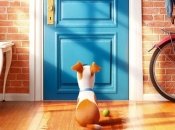 Стоит ли смотреть мультфильм «Тайная жизнь домашних животных»