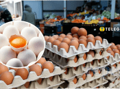Де краще купувати яйця