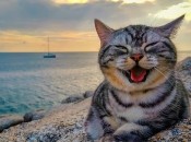 Кому зі знаків Зодіаку дуже пощастить у серпні 2022 року