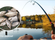 Де порибалити в Київській області