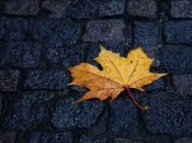 Дожди не задержатся надолго