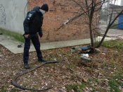 Причина смерті плазуна поки невідома