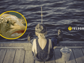 Риболовля - дуже азартне зайняття