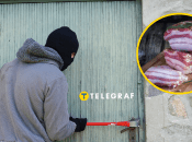 Незвична крадіжка на Чернігівщині