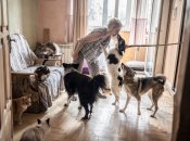 Приют "Второй шанс"