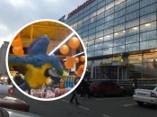 Внимание привлек цвет перьев