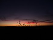 Ці жіночі імена від природи наділені магією