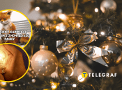 Новогодняя елка и лампочка