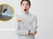 Тварина налякала людей