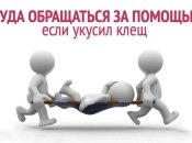 Куда обращаться, если укусил клещ: травмпункты Киева