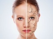 Раскрыт секрет вечной молодости