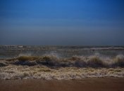 Более 100 дельфинов-гринд найдены на берегу новозеландского острова