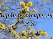 Вербное воскресенье 2020 у католиков: что нельзя делать в этот день