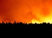 Во Франции сгорели 370 гектаров леса