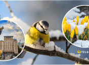 В Украину возвращаются заморозки