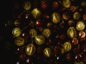 Крыжовник - один из популярных кустарников в саду